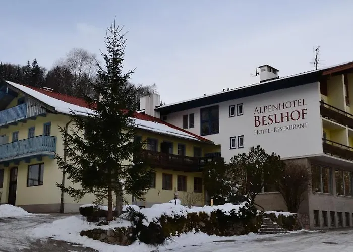 Alpenhotel Beslhof Πανσιόν 3*
